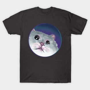 cat lovers gift T-Shirt